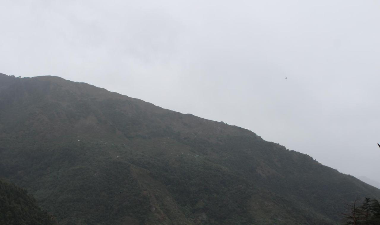 Hostel Who Needs Map Mcleodganj 麦罗肯机 外观 照片